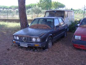 Alfetta.JPG