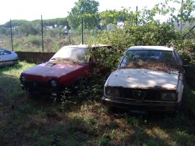 DSCF2174.JPG